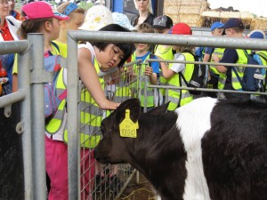 13458553_1312121632149277_6575088050446280976_o