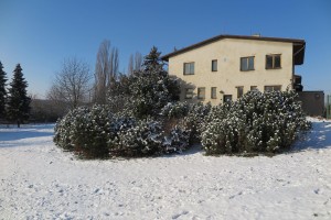 16403400_1551456241549147_1584877982926209190_o