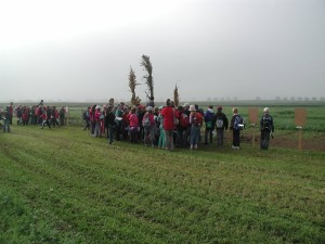 16463008_1553491341345637_3060708886812515973_o