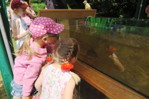 19055647_1705677912793645_5183104624074190526_o