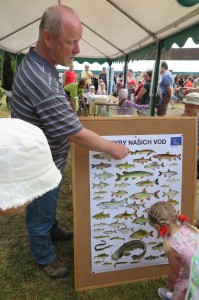 19092633_1705678286126941_4135731636831125817_o