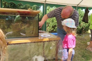 19095384_1705677722793664_733469868853157409_o