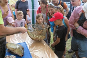 19095592_1705669089461194_6128969135141826236_o