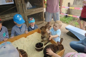 32381195_2081446135216819_1979201228705366016_o