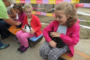 32624549_2081449071883192_323445251098279936_o