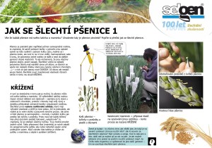 32650045_2082528111775288_402534836176158720_o