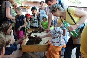 32762643_2081446861883413_41618898818170880_o