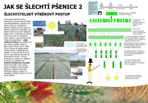 32779331_2082528201775279_4484014499191324672_o