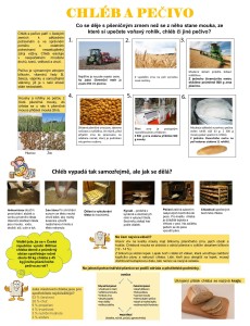 32933204_2084448811583218_4531541993108537344_o