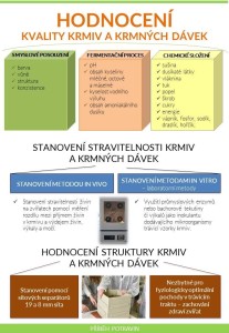 61036960_2650961478265279_7843960070458048512_o