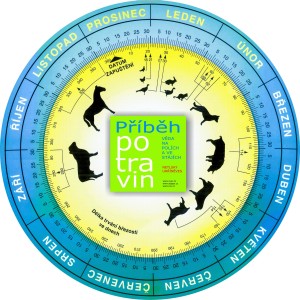 61190872_2660149224013171_2664242280419819520_o