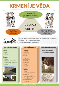 61221707_2650961458265281_7294468817965547520_n