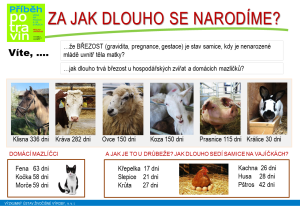 61378544_2660149010679859_3570360996964859904_o